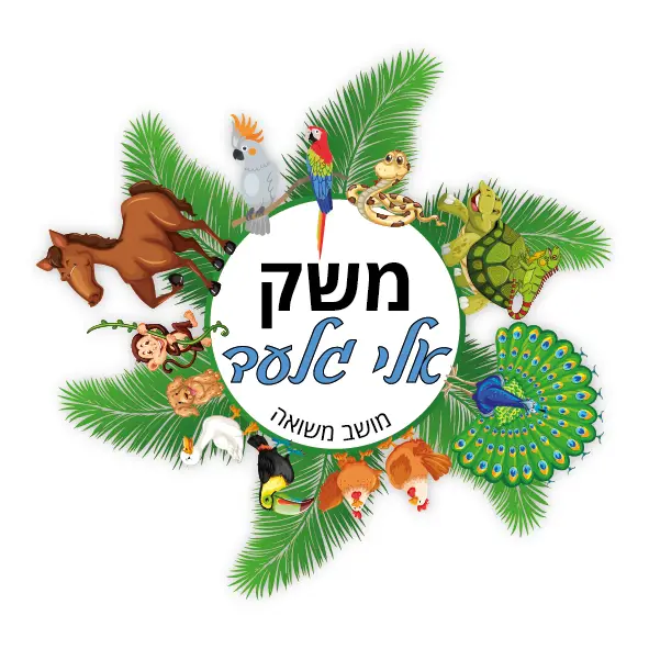 משק אלי גלעד