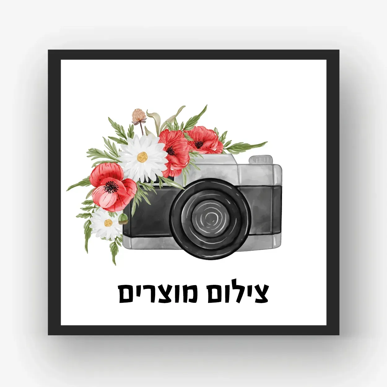 צילום מוצרים